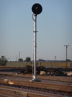 Standing Tall and Mighty